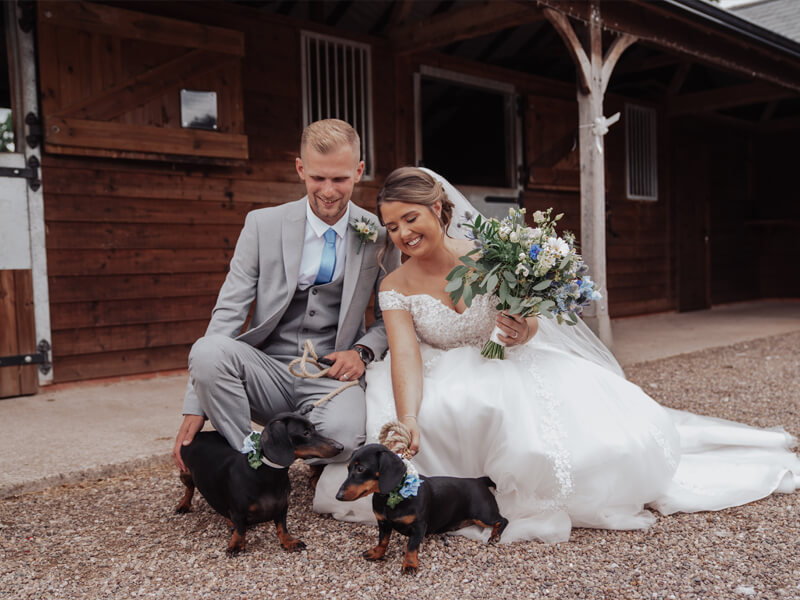 bride and groom with their dogs