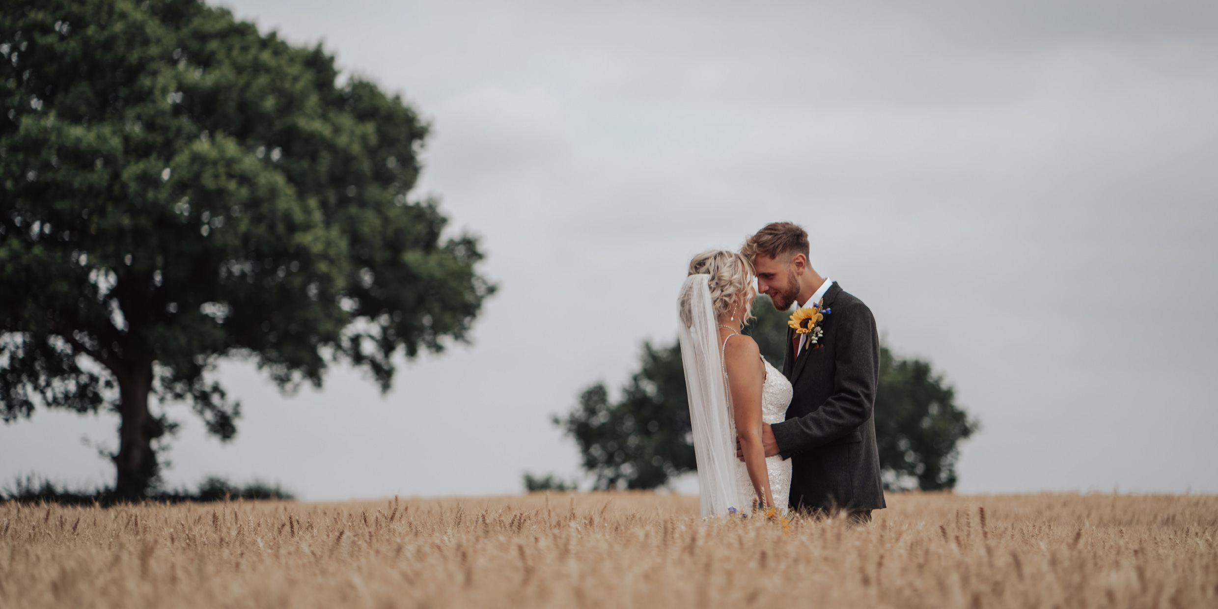 bride and groom in field of wheat