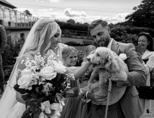 Dog friendly Wedding Venue: Embracing Your Furry Friends
