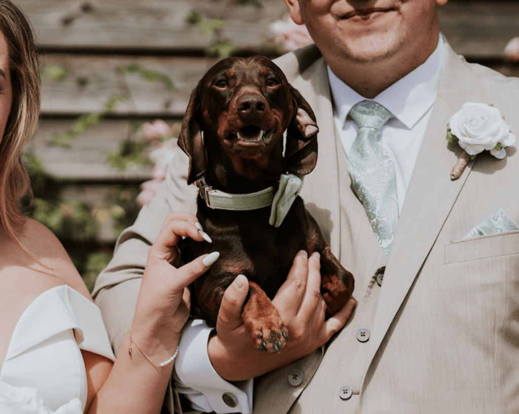 A couple with their dog