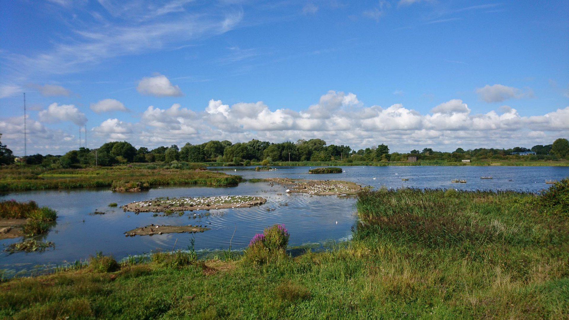 uptonwarren uptonwarren